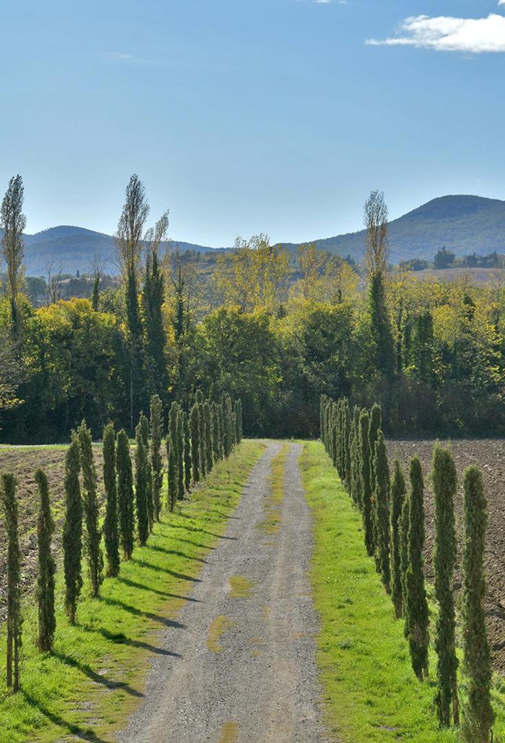 Podere La Querciola Guardistallo Bagian luar foto